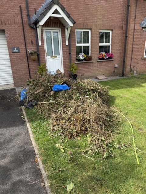 Northern Ireland Waste Removal 15